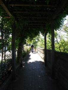 IMG_1829.JPG